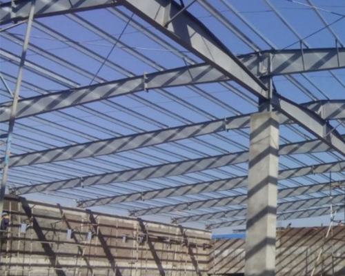 Eave Struts